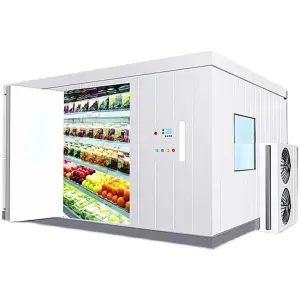 Positive 0~5 Degrees Centigrade Eco-Friendly Frascold Cold Room Storage Walk in Chiller for Preservation Fruits Vegetables