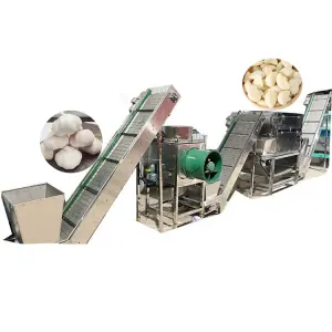 HN QDMECH High-Efficiency Food Processing Plant Garlic Dry Chain Peeling Machine Garlic Peeling Production Line Garlic Peeler