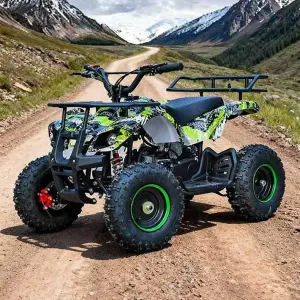 Children's Teen Off-road Buggy Karting Vehicle 2-stroke Gasoline 49cc Engine Hydraulic Disc Brake All-terrain Outdoor Kart