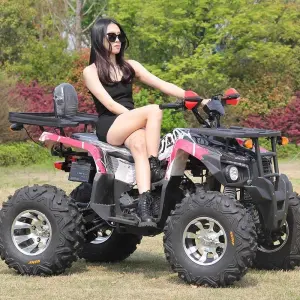 Vehicle Gasoline Adult 200cc 4 Stroke Disc Brake Chain Drive Four-Wheel Drive