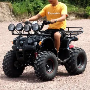 Professional Outdoor 125cc 4-Stroke 8-Inch Wheel for Beach & Off-Road Use Gasoline-Powered Hydraulic Disc Brakes