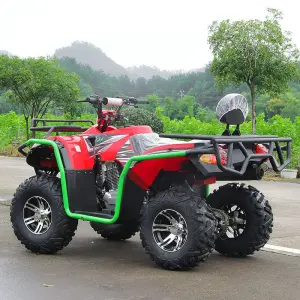 Beach Buggy 200cc Four-Wheel with CVT Automatic Transmission for All-Terrain Scenic Spot Rental