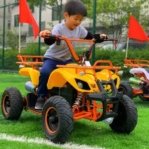 Factory Direct Children's Electric Gokarts 500W 30km/h Max Speed Beach Park Recreation