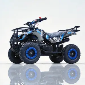 Two-stroke 49CC Off-road Vehicle Electric Mini Four-wheel Off-road Vehicle, Leisure Off-road Motorcycle