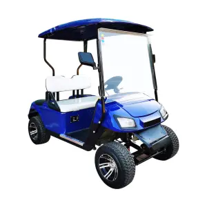 2 Passengers Electric Golf Cart Brand New Design Factory Sightseeing Bus Electric Golf Car