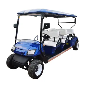 Brand New 6 Passenger Electric Golf Car Golf Cart Electric Mobility Scooter with Storage Space at Back Fashion and Popular
