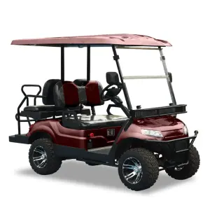 4 High-quality Factories Directly Produce Electric Golf Cart with Adult Light shields with Lithium Battery for Sale