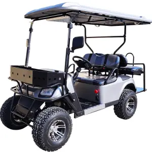Off-road 2+2 Model Electric Golf Cart with Front Bumper Lithium Battery Color Can Customized with CE Certification