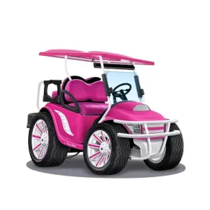 CE Approved Custom Golf Cart DS Windshield High Quality Folding Acrylic Golf Cart