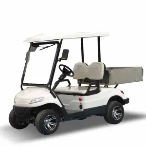 Prices Import Fast Enclosed 2 Person Electric Mini Golf Cart Manufacturer