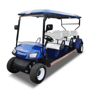 Elektro Club Car DS Auto Electric Six Seater Golf Cart 60V 3.5KW Motor CE Certified 30km/h Speed 90km Range Maintenance-Free
