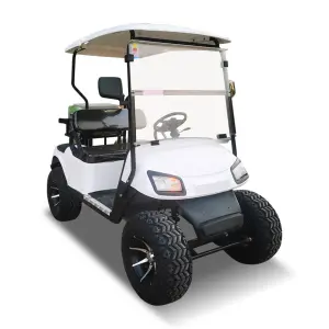 Electric Road Legal Xtrider Remote Control Defender Golf Cart Buggy with CE Certification 30km/h Speed & 90km Range for Hotels