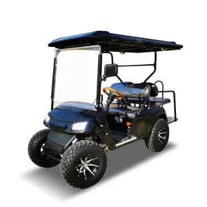 Wheel Electric Golf Cart 4 Seater Club Car Grass New Energy Buggy Stroller Seats 3.5KW AC Motor 90km Range