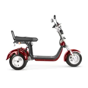 EU Door-to-Door EEC Dual 2000W Motors 60V55Ah Lithium Battery Electric Scooter