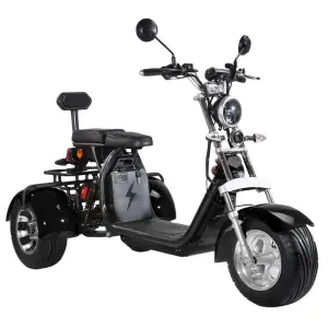Europe Door to Door Tricycle Coc 3-Wheel Three Wheel Citycoco Electric Scooter EEC