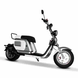 CE Certified 3000W High-Power Adult Electric Off-Road Vehicle with 12-Inch Wheels and Dual Seats