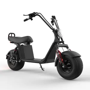 EEC COC Trendy Design with a Comfortable Large Seat 60V1500W Electric Scooter