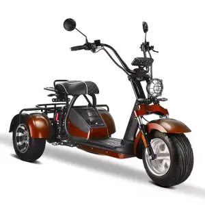 2025 New Hot 3 Wheel Electric Scooter 2000W 60v Motor Popular Tricycle Adult Lithium Battery Electric Tricycle