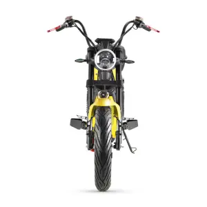 Customizable 2000W High Power Electric Moped Scooter with Rear Trunk with EEC Certificate
