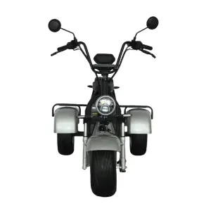EEC COC Approved 1500W 2000W Electric Tricycle Adult 3 Wheel Scooter with 10 Inch Fat Tyres Scooters