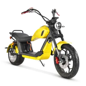 Ape Hanger Handlebar New Mobility Scooter 17 Inch Front Wheel with Trunk Electric Motorcycle EEC 3000w Motorbike