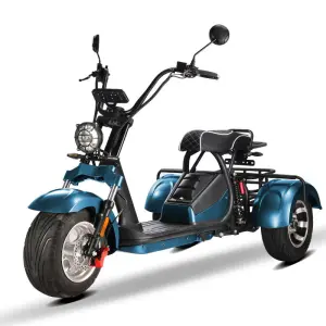 2025 New Tricycle 2000W 60V12AH Battery EEC Certified Electric Scooter