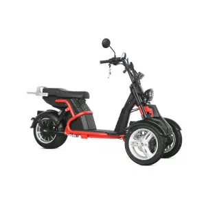 Spot New Products Fast Adult Size ODO Speedometer Electric 3-wheel E-bike Motorcycles With Two Front Wheels