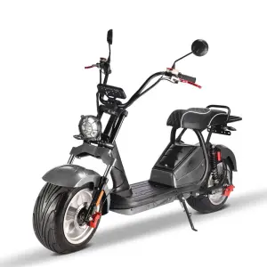 2025 12 Inch Aluminum Two-Wheel with 2000W/3000W Motor Electric Scooter with EEC/COC Certification