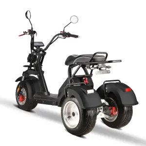 60V 10 Inch Alu Alloy Rim Fat Tire Dual Motor E Rock Bike Electric Citycoco Bicycle with Rack for Rear Storage Box