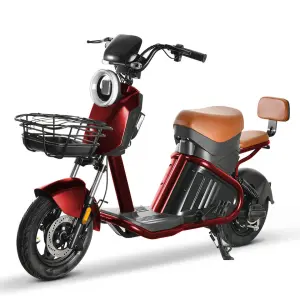 Woman Man Unisex Easy Riding Lightweight 48v 60v Removable Lithium Battery Powered City Style Electric Bike E-bikes