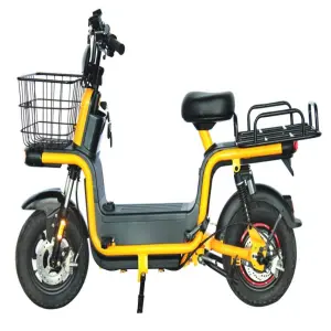 1000W 60V20ah Electric Bike Battery Optional Takeaway Bike