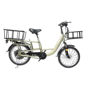 Wholesale Cheap Delivery Electric Bicycle 350W 48V Cargo E Bike with Removable Battery for Unisex