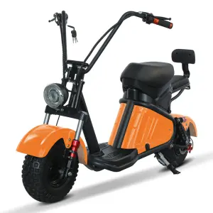 2025 NEW 800w48V20AH BATTERY mini bike assisted electric scooter