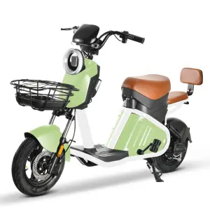 New Design Portable Electric Bike 800W 48V Motor Hybrid Bicycle with Pedal Assist for Unisex