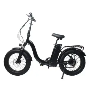 500W New Wide Tire Tandem Electric Bicycle