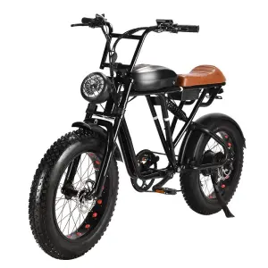 7 Speed Lithium Battery 20 Inch Fat Tyre S73 Ebike Road Bike