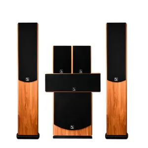 2021 New Arrival Kinma 5.1CH Home Theater Speaker System with Amplifier Product SP-6360