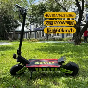 Электрический самокат Dual Motor High-power Foldable Off-road Adult Long Range Electric Scooter