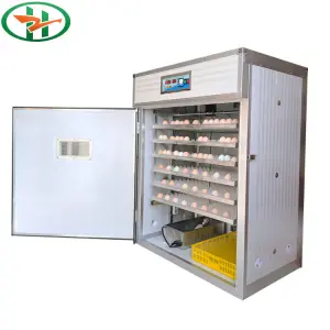 Best Selling HZ 1056 Fully Automatic Digital Chicken Egg Incubator and Hatcher New Condition for Duck Farm Use