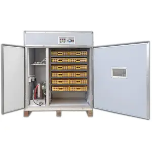 Professional Full-Auto Poultry Incubator: 1056 Egg Capacity, Side Blowing Ventilation