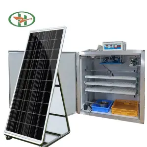 Manufacturer's New Solar Incubation Machine Automatic Hatching 528 Egg Incubators Ostrich Goose Chicken Duck PP Material 92-95%
