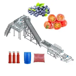 Full Automatic 2-10T/H Concentrate Tomato Puree Factory/ Tomato Paste Processing Plant