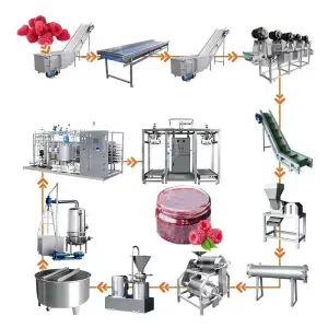 Customized Fruit Jam Make Production Line Fruit Puree Production Line Small Jam Process Machine