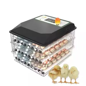 Dual Power Mini Egg Incubator Automatic for Small Hatching Goose Turkey Quail Duck Chicken & 6-64pcs Mini Eggs