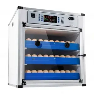 Fully Automatic Solar Egg Incubator Hatchery Machine for Farming Brand New Condition