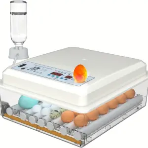 High Quality 120 Chicken Egg Incubator Commercial Small Size for Optimal Breeding