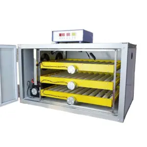 New Model Poultry Chicken Ac Dc Egg Incubator for Eggs 500 Incubator Egg Hatching Machine