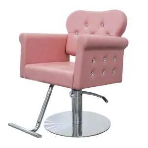 pink Hair Salon Chair / Hair Salon Furniture China / Hair Salon Chairs