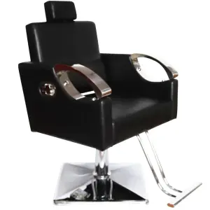 Beauty Hair Salon Chair / Hair Salon Styling Chairs / Barber Style Chair