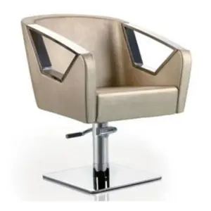 Gray Barber Chair/ 2019 Hot Sale Hydraulic Reclining Barber Chair Manufacturer in China / Mobile Barber Chair